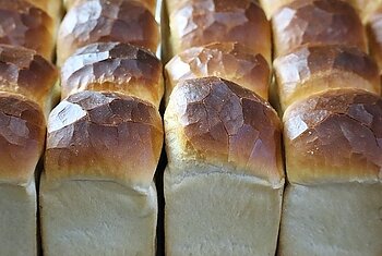 ホームページをリニューアルしましたのイメージ